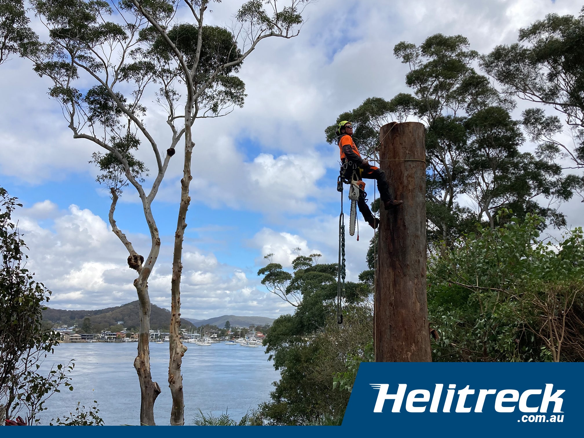 tree removal and lift helitreck helicopter charter